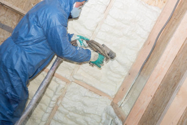 Types of Insulation We Offer in Minor, AL